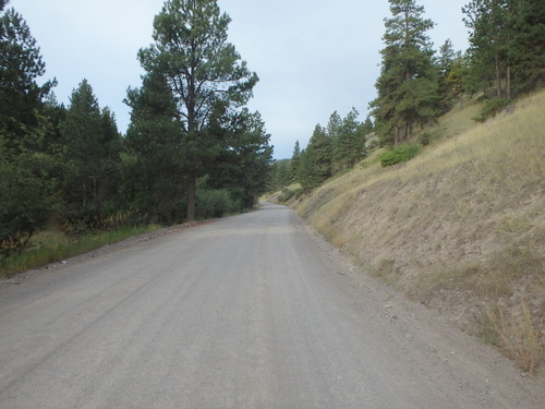 GDMBR: Southbound on Grizzly Gulch Road, Montana.